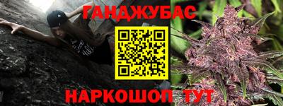 apvp Моздок